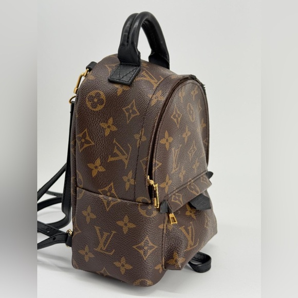 Louis Vuitton Palm Springs Backpack Mini Brown Canvas main image 6